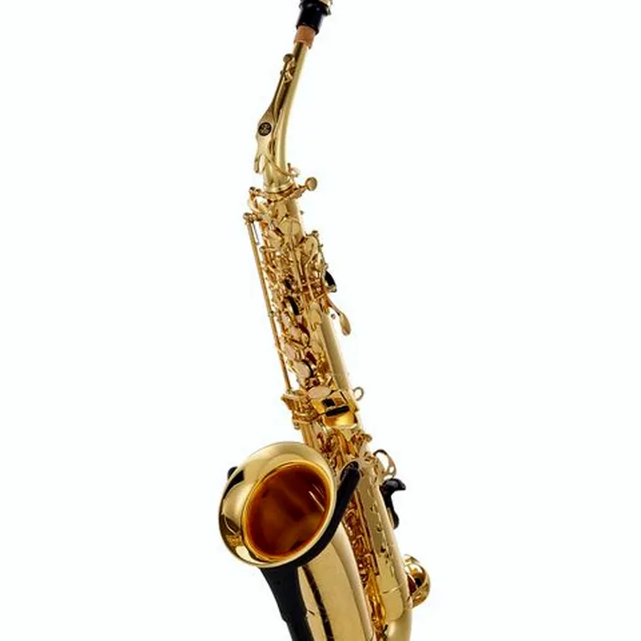 Buffet Crampon Prodige Alto Sax
