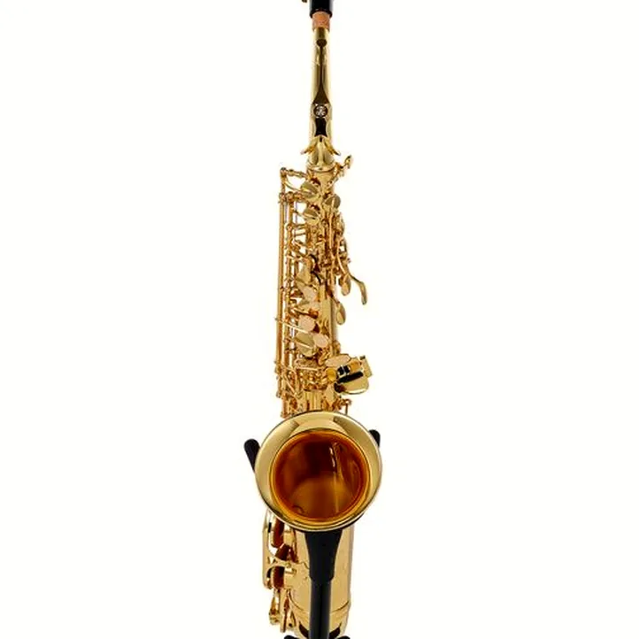 Buffet Crampon Prodige Alto Sax