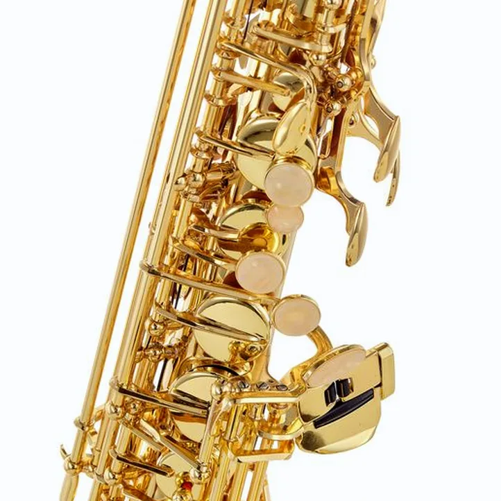 Buffet Crampon Prodige Alto Sax Set