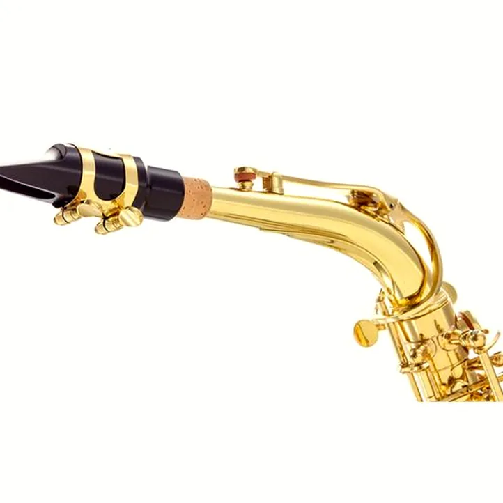 Buffet Crampon Prodige Alto Sax Set