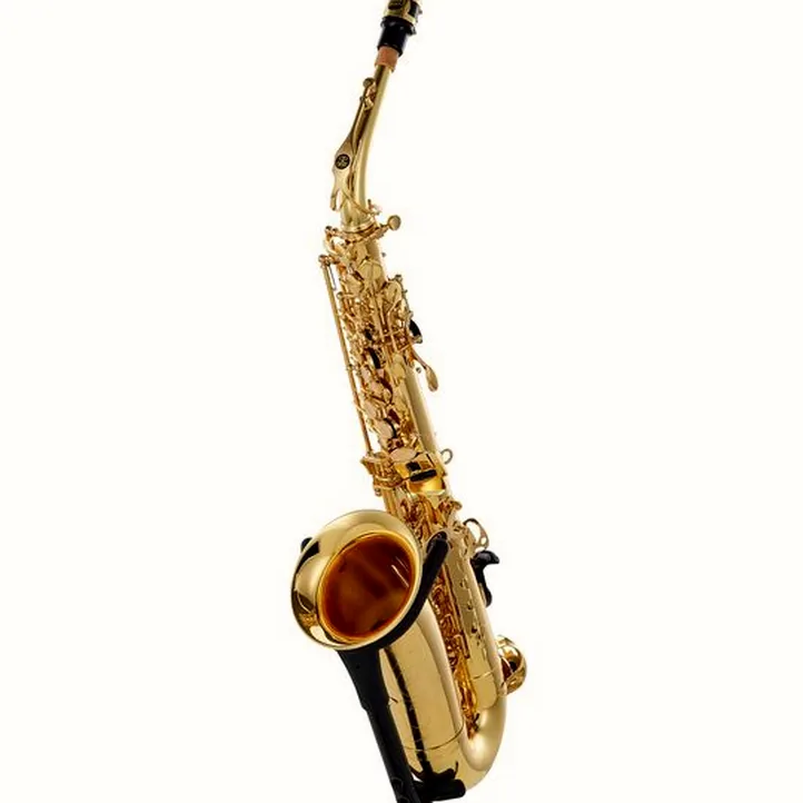 Buffet Crampon Prodige Alto Sax Set