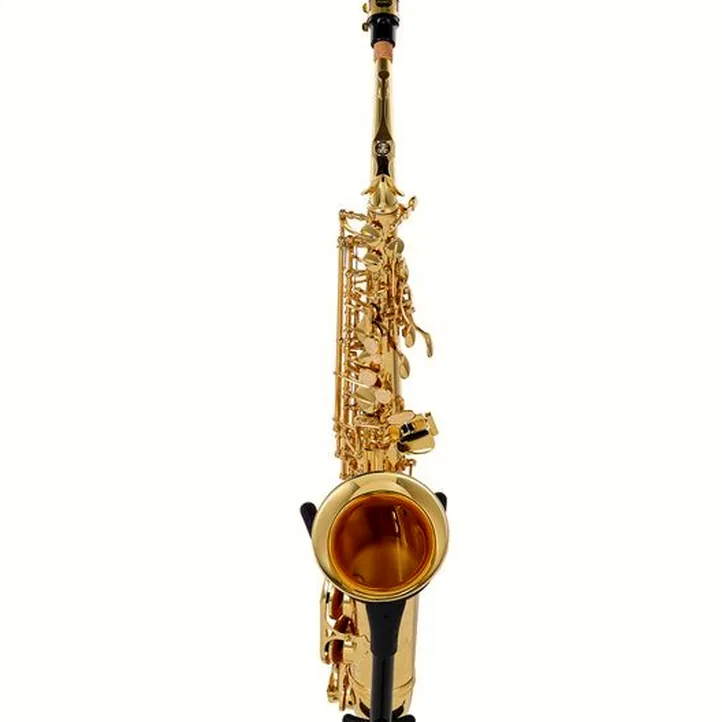 Buffet Crampon Prodige Alto Sax Set