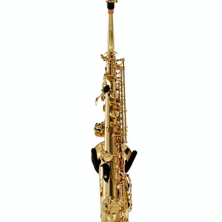 Buffet Crampon Prodige Alto Sax Set