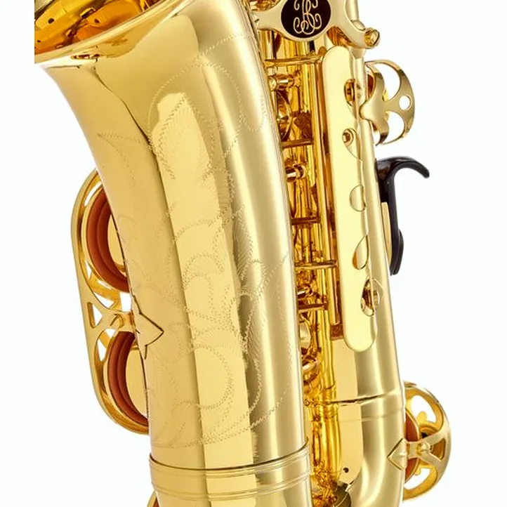 Buffet Crampon Prodige Alto Sax Set