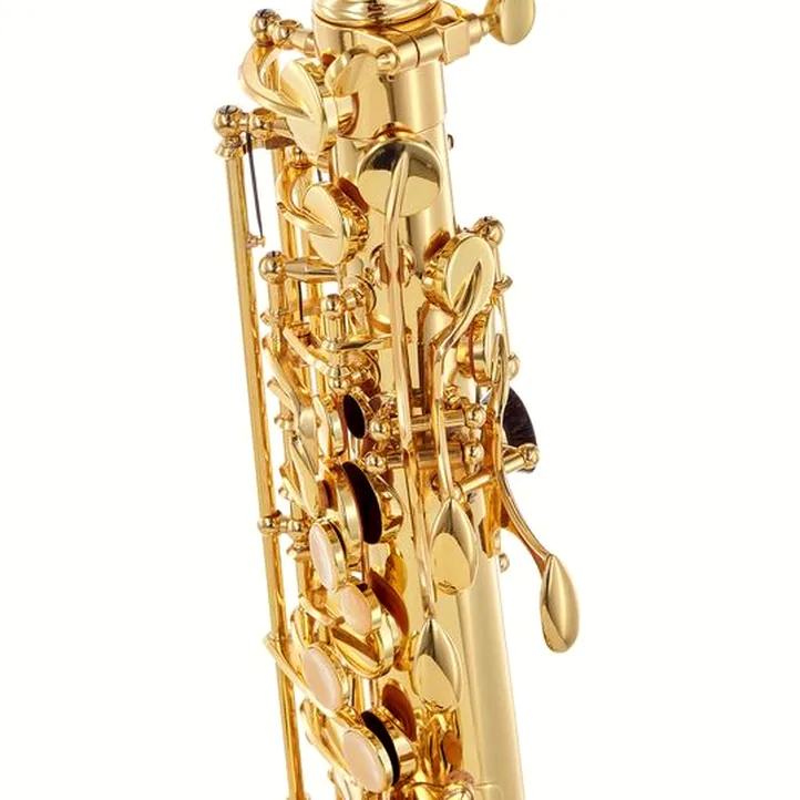 Buffet Crampon Prodige Alto Sax Set