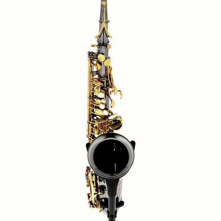 Forestone GX Black Nickel Alto Sax