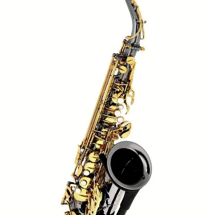 Forestone GX Black Nickel Alto Sax