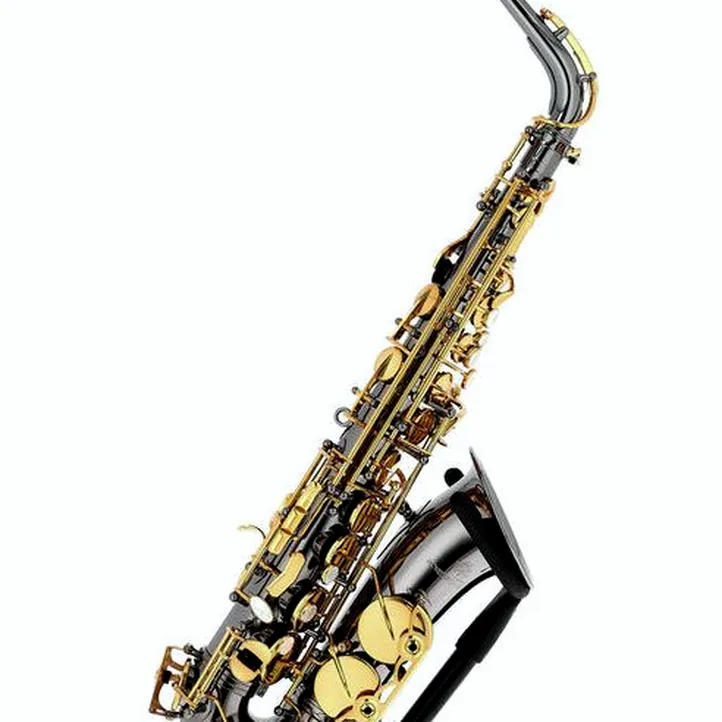 Forestone GX Black Nickel Alto Sax