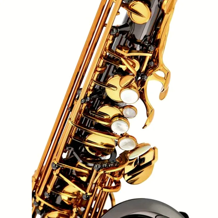 Forestone GX Black Nickel Alto Sax
