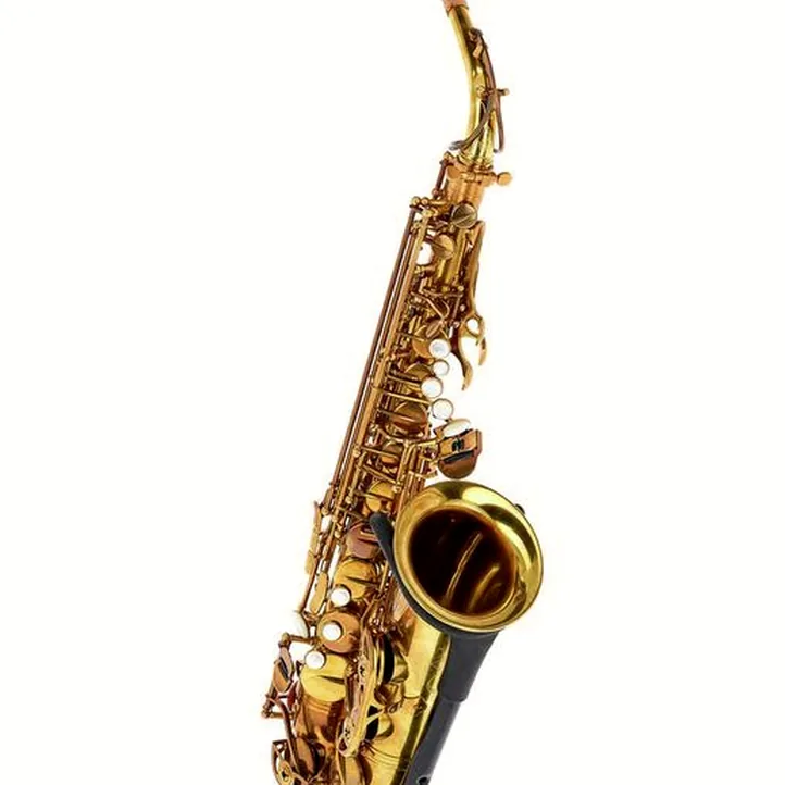 Forestone GX Cognac Vintage Alto Sax