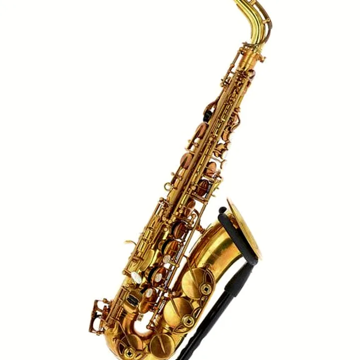 Forestone GX Cognac Vintage Alto Sax