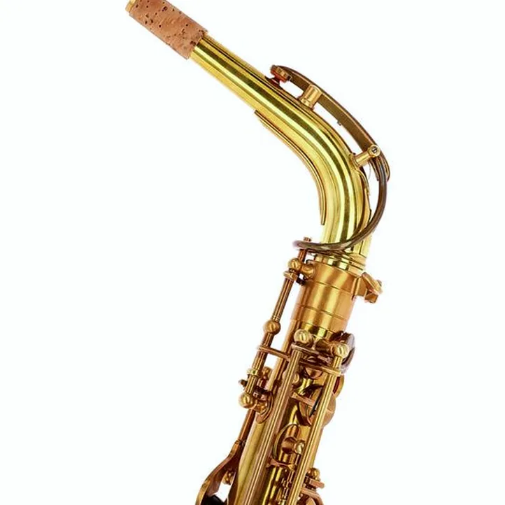 Forestone GX Cognac Vintage Alto Sax