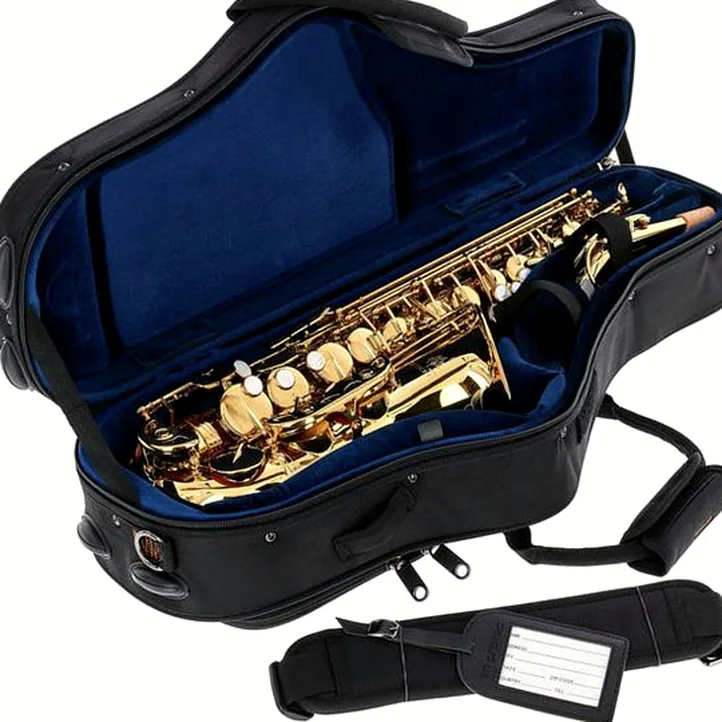 Forestone GX Gold Lacquered Alto Sax