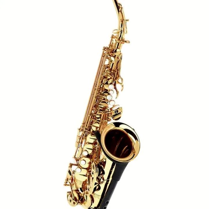 Forestone GX Gold Lacquered Alto Sax
