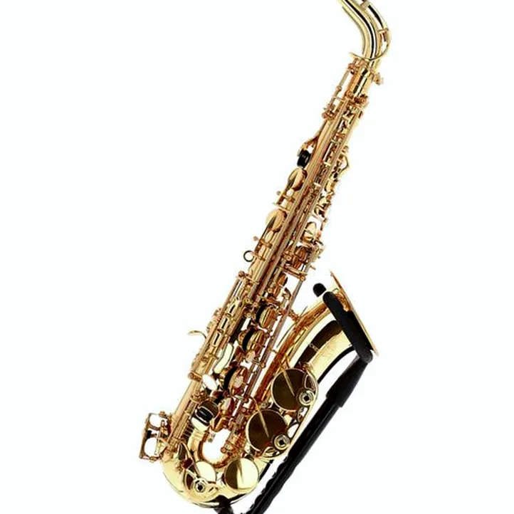 Forestone GX Gold Lacquered Alto Sax