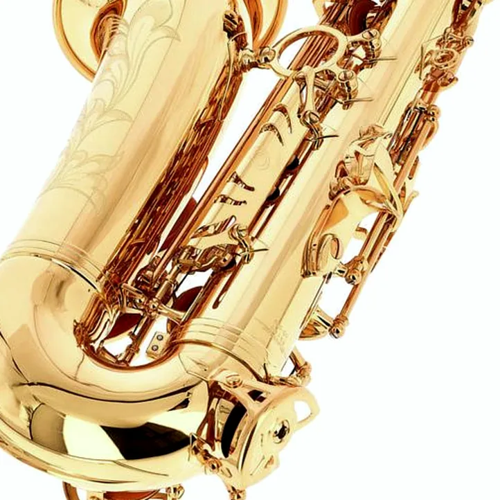 Forestone GX Gold Lacquered Alto Sax