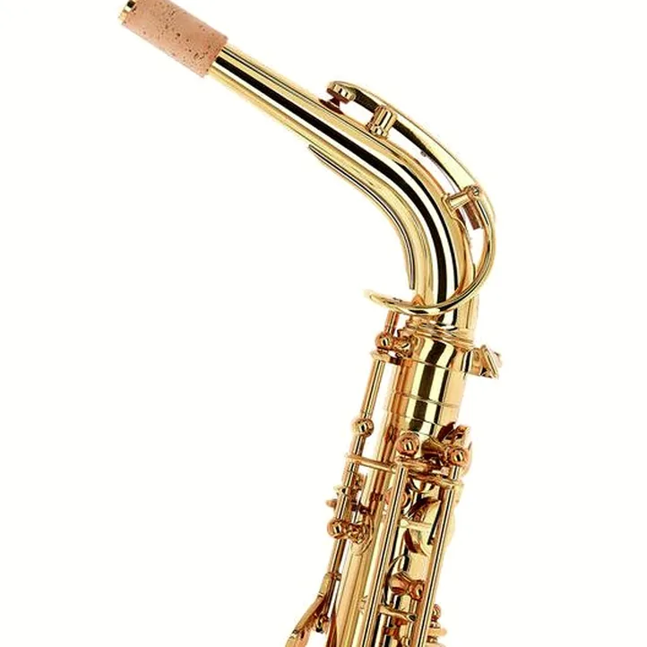 Forestone GX Gold Lacquered Alto Sax