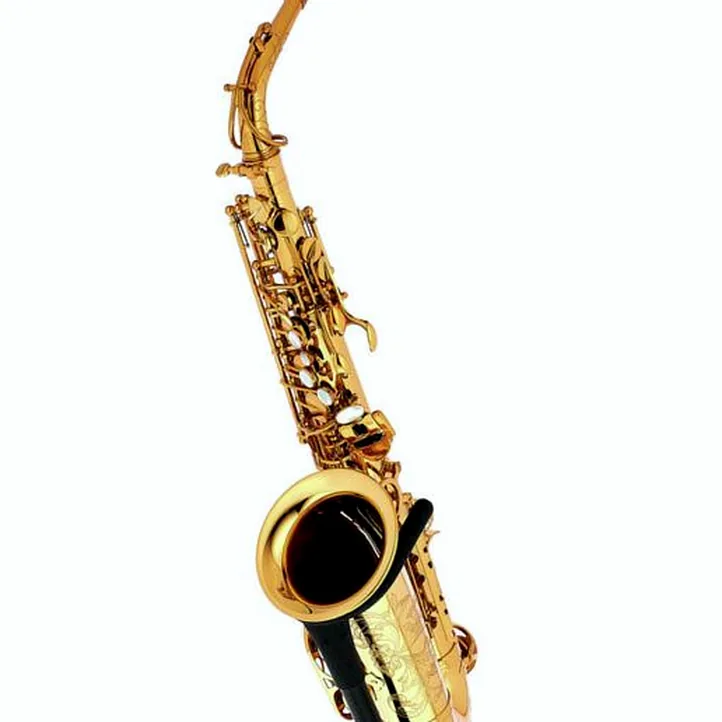 Forestone RX Gold Lacquered Alto Sax