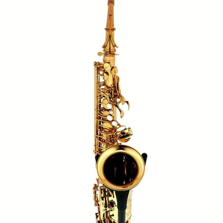 Forestone RX Gold Lacquered Alto Sax