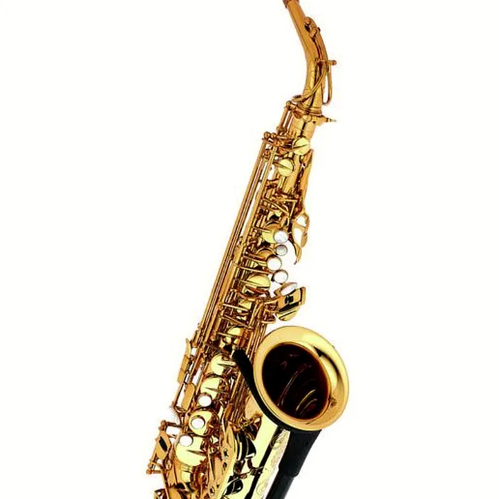 Forestone RX Gold Lacquered Alto Sax