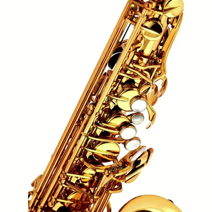 Forestone RX Gold Lacquered Alto Sax