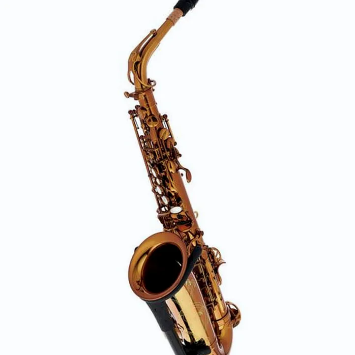Rampone & Cazzani Performance Line Alto Sax