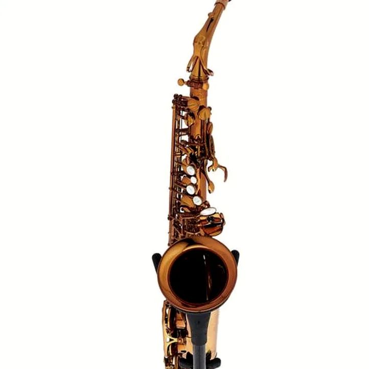 Rampone & Cazzani Performance Line Alto Sax