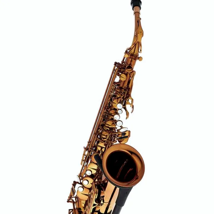 Rampone & Cazzani Performance Line Alto Sax