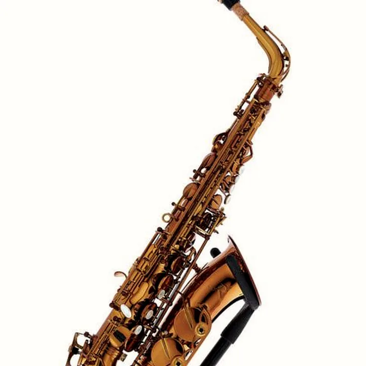 Rampone & Cazzani Performance Line Alto Sax