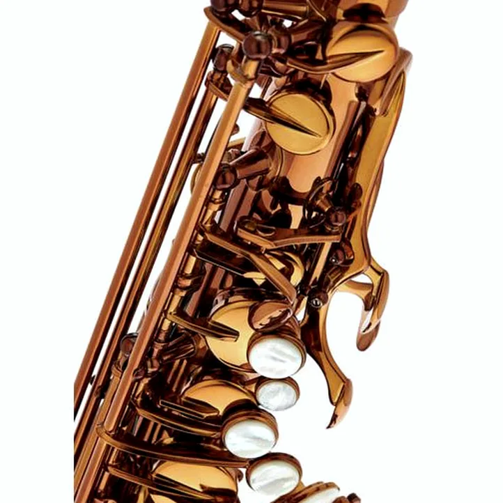 Rampone & Cazzani Performance Line Alto Sax