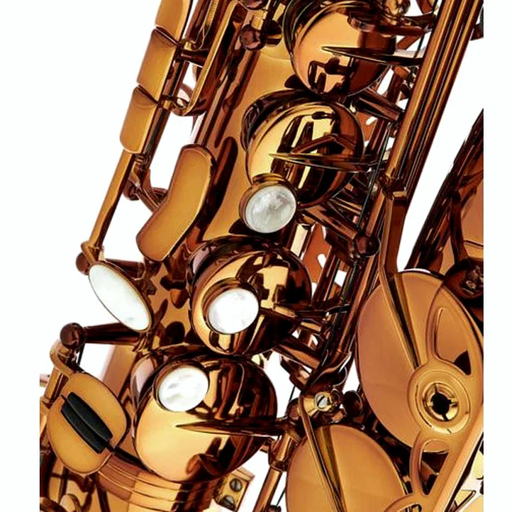 Rampone & Cazzani Performance Line Alto Sax