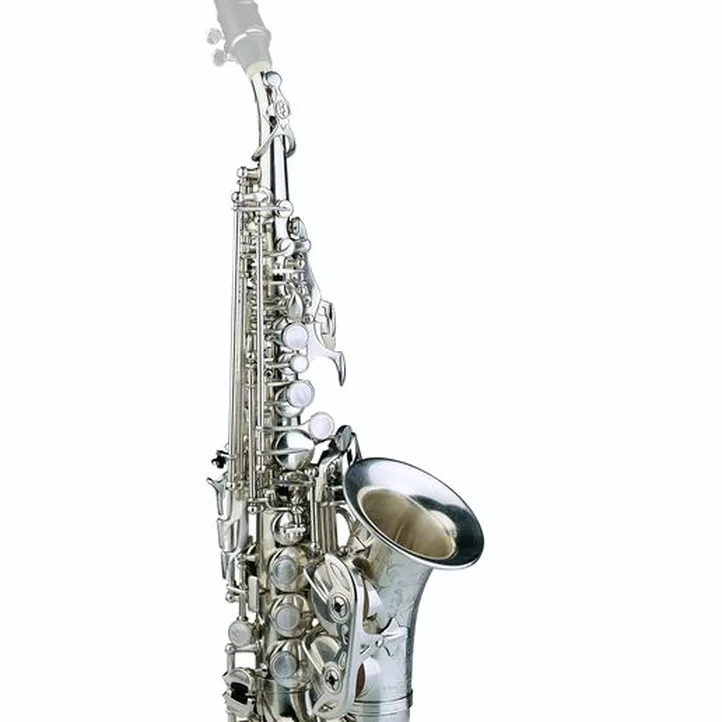 Rampone & Cazzani R1 Jazz Soprano Sax AG Curved
