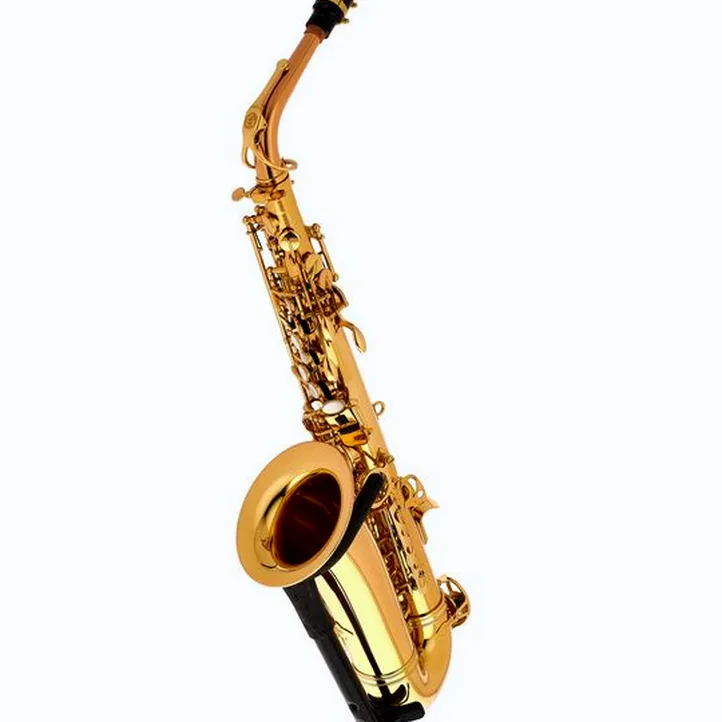 Schagerl Academia Alto Sax A-920L-II