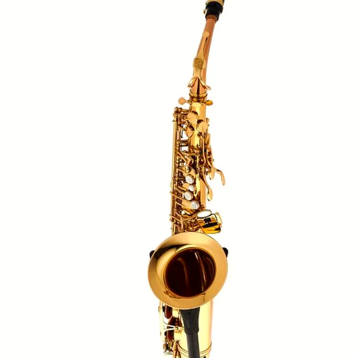 Schagerl Academia Alto Sax A-920L-II