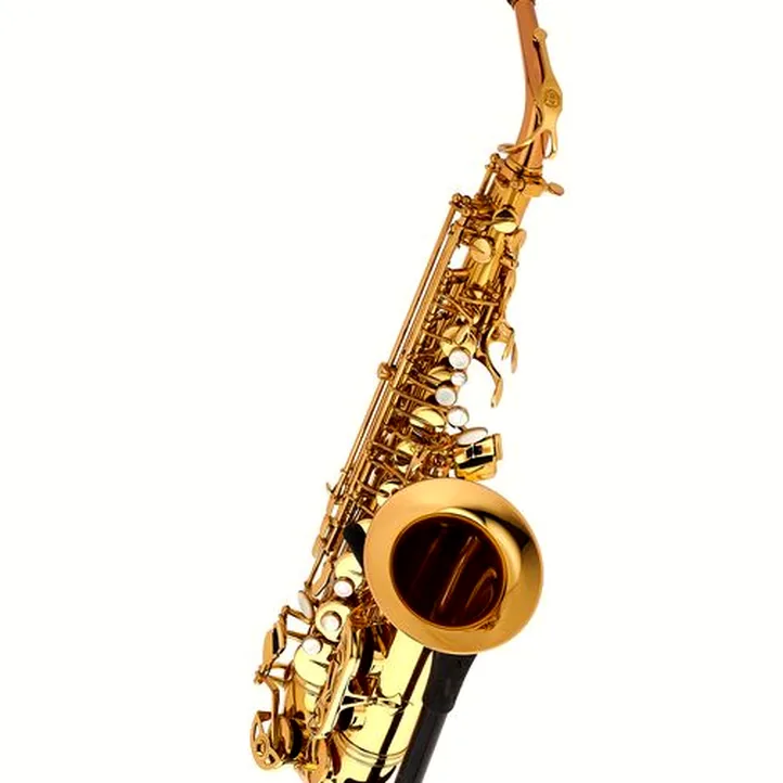 Schagerl Academia Alto Sax A-920L-II