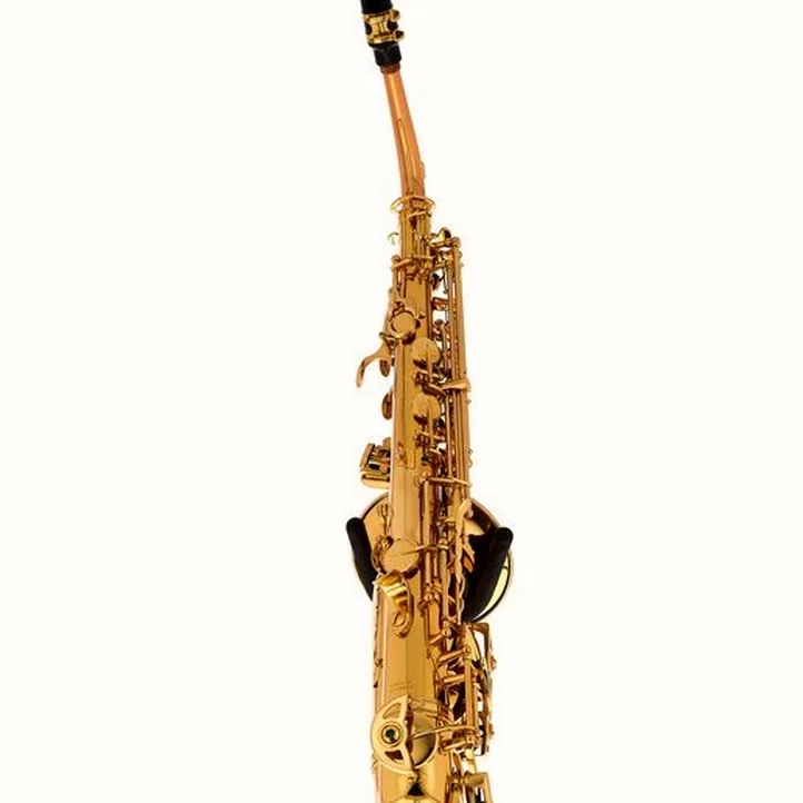 Schagerl Academia Alto Sax A-920L-II