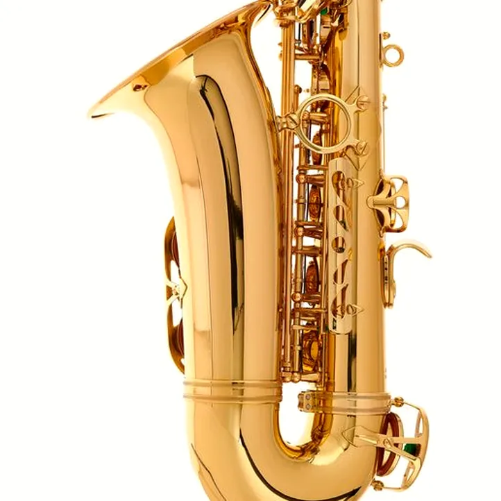 Schagerl Academia Alto Sax A-920L-II