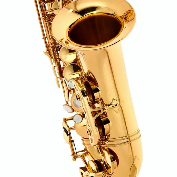 Schagerl Academia Alto Sax A-920L-II