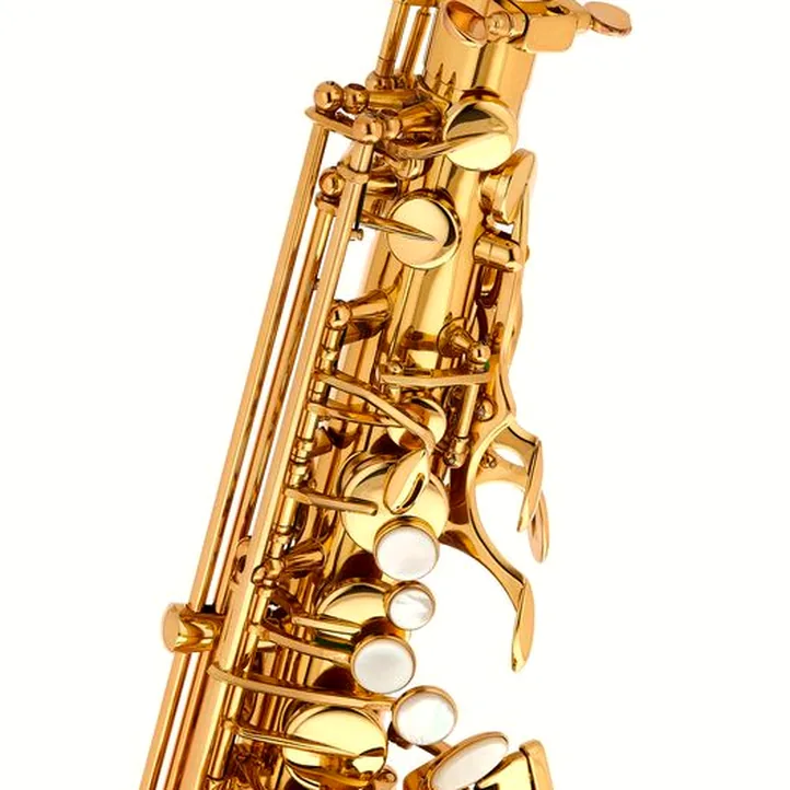 Schagerl Academia Alto Sax A-920L-II