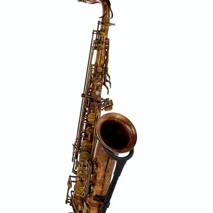 Schagerl Superior Tenor Sax T-1VB