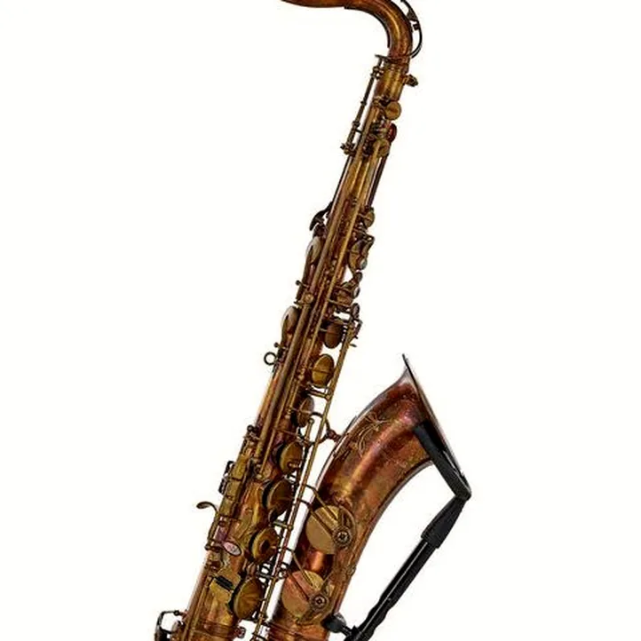 Schagerl Superior Tenor Sax T-1VB