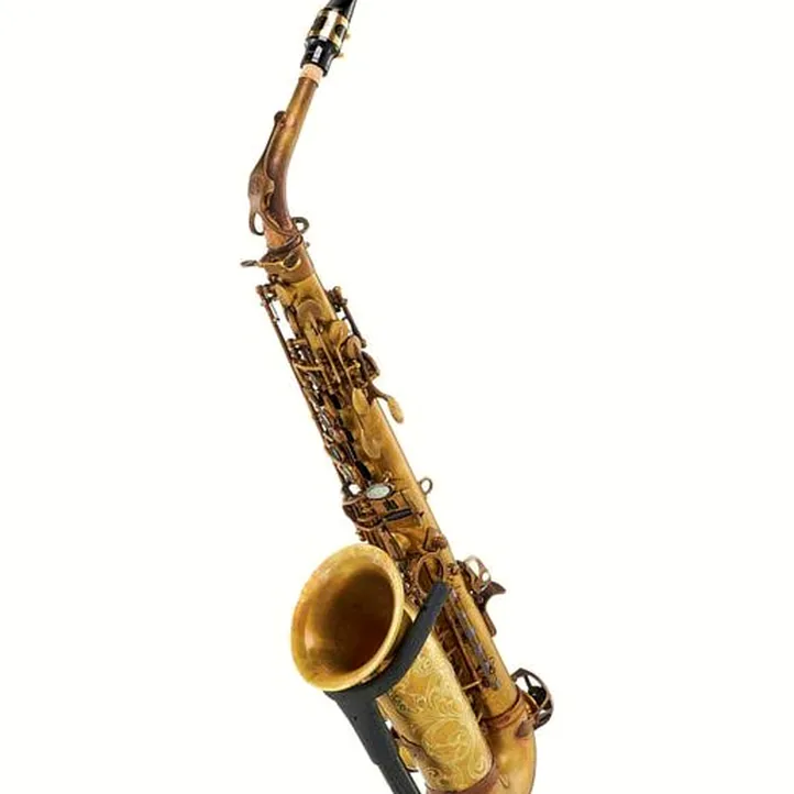 Schagerl A-2V SuperiorPro Alto Sax