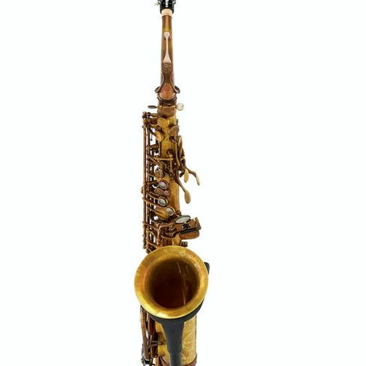 Schagerl A-2V SuperiorPro Alto Sax