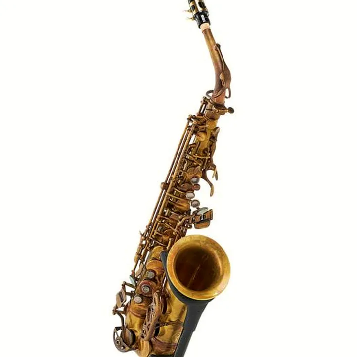 Schagerl A-2V SuperiorPro Alto Sax