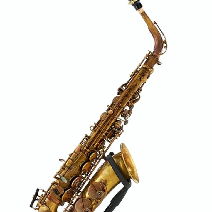 Schagerl A-2V SuperiorPro Alto Sax