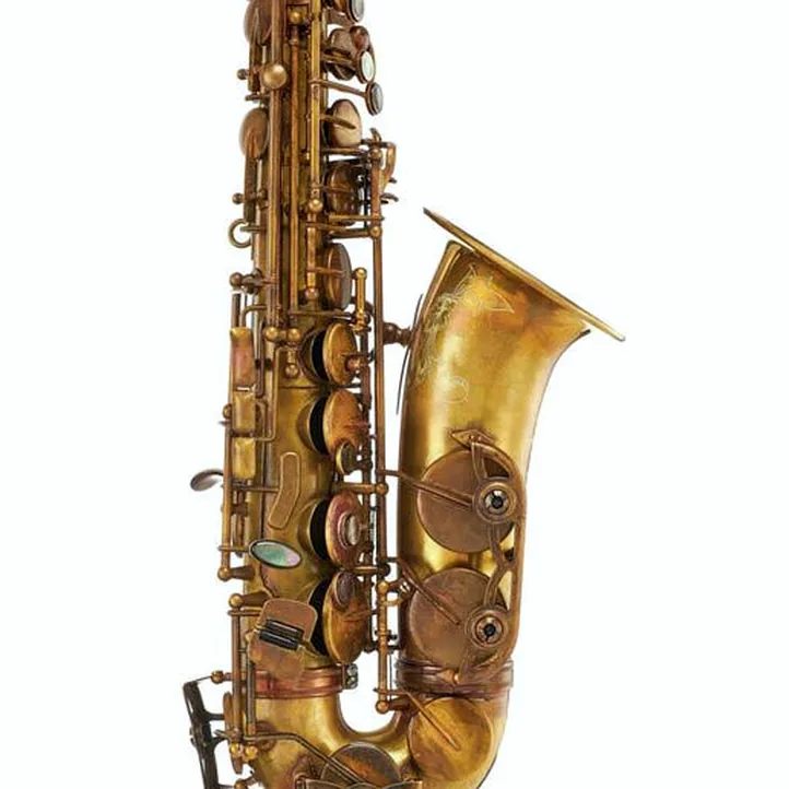 Schagerl A-2V SuperiorPro Alto Sax