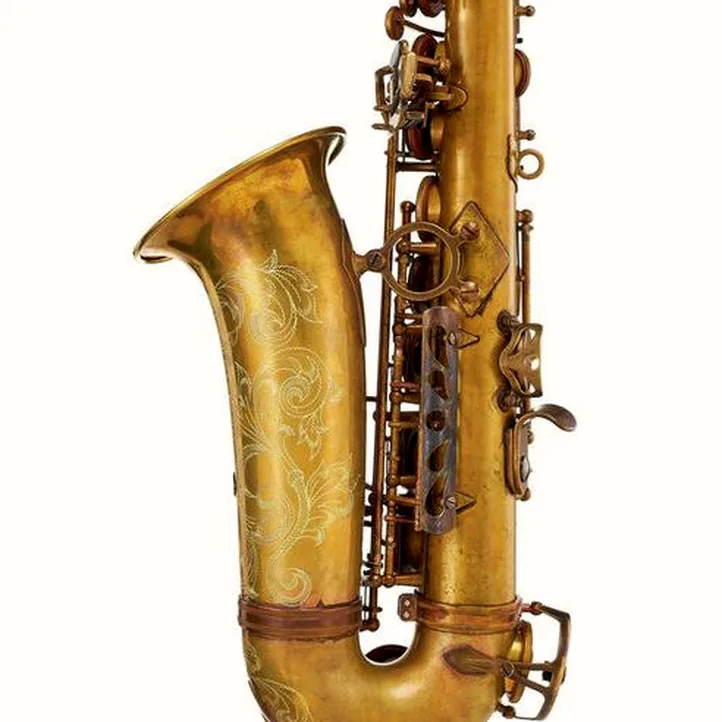 Schagerl A-2V SuperiorPro Alto Sax