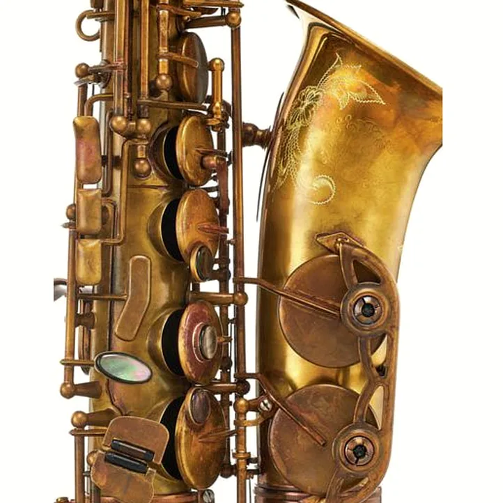 Schagerl A-2V SuperiorPro Alto Sax