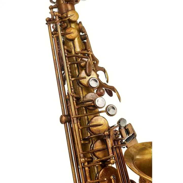 Schagerl A-2V SuperiorPro Alto Sax