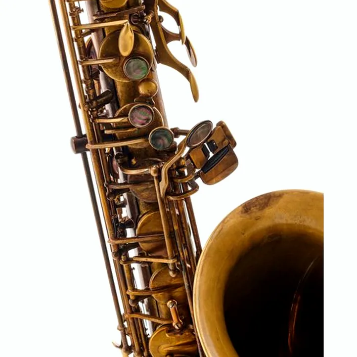 Schagerl SuperiorPro Tenor Sax T-2V